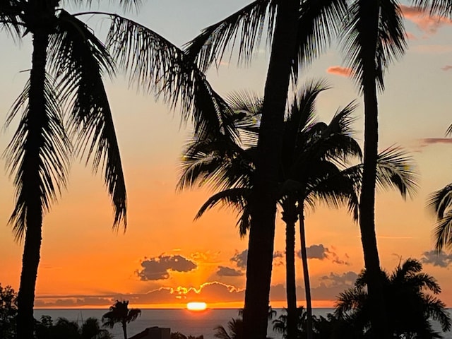 nature at dusk featuring a water view