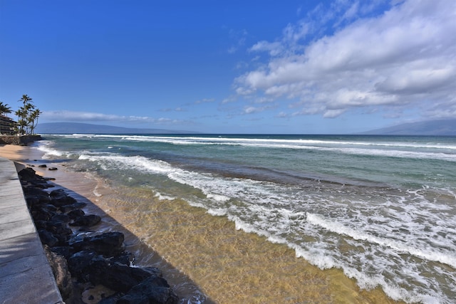 water view with a beach view