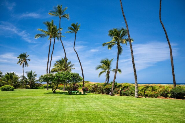 surrounding community featuring a lawn