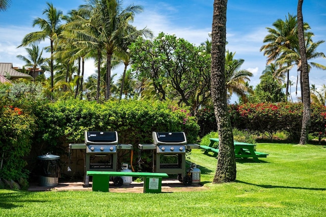 view of property's community featuring a yard