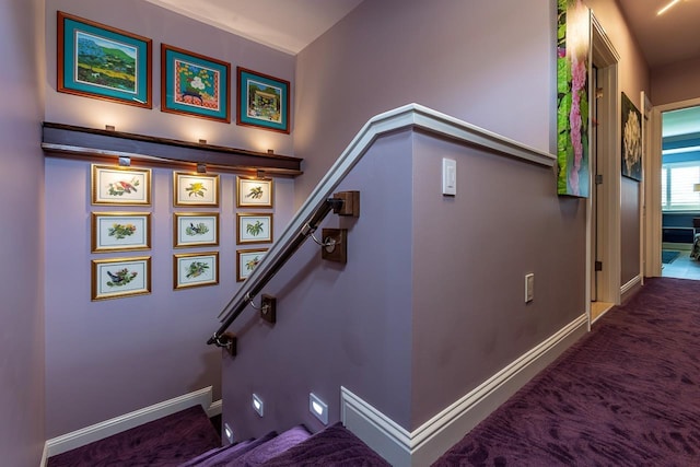 staircase featuring carpet