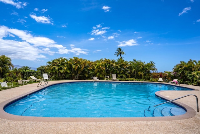 view of pool with a patio