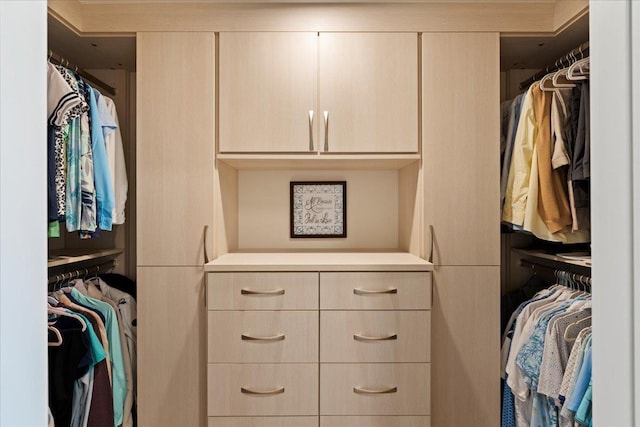 209 Holokahiki Ln Unit 103, Kihei, HI 96753 - view of spacious closet