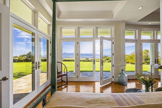 entryway with hardwood / wood-style floors, french doors, a healthy amount of sunlight, and ornamental molding