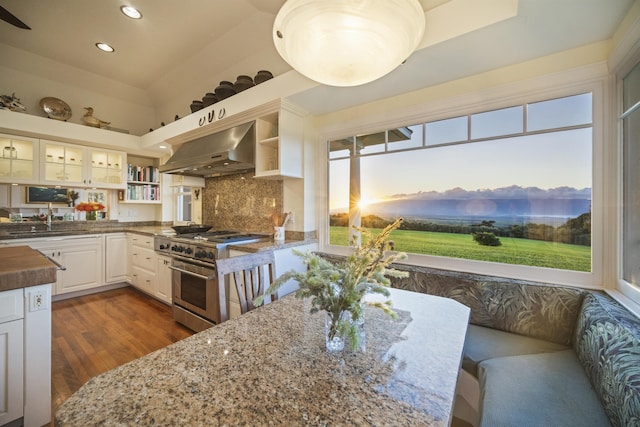 kitchen featuring tasteful backsplash, dark hardwood / wood-style flooring, dark stone countertops, high end stainless steel range, and white cabinets