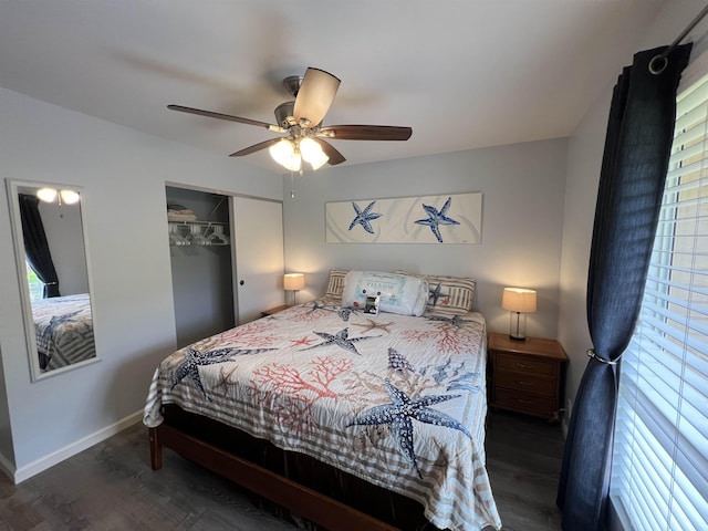 bedroom featuring a closet, ceiling fan, and dark hardwood / wood-style floors