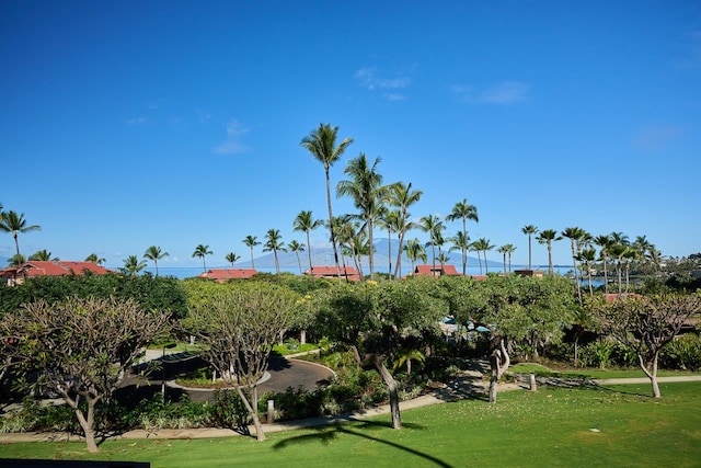 view of property's community featuring a yard