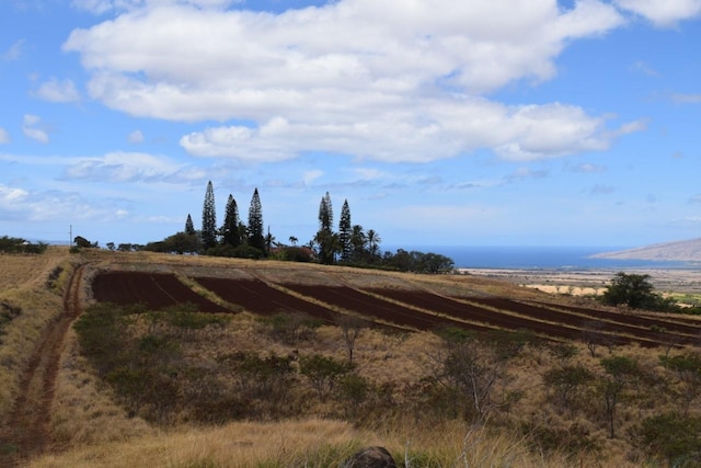 0 Omaopio Rd, Kula HI, 96790 land for sale