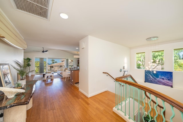 hallway featuring plenty of natural light and light hardwood / wood-style flooring