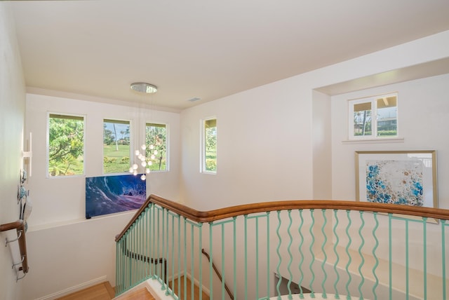 stairway with plenty of natural light and wood-type flooring