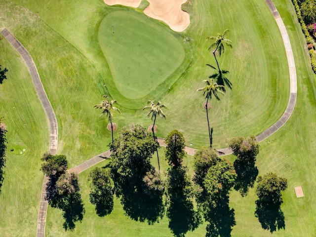 bird's eye view