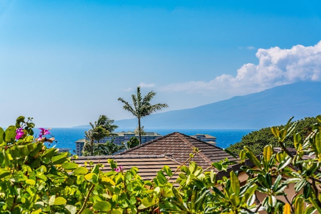 view of mountain feature featuring a water view