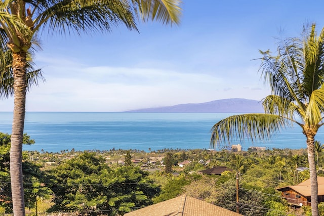 property view of water featuring a mountain view