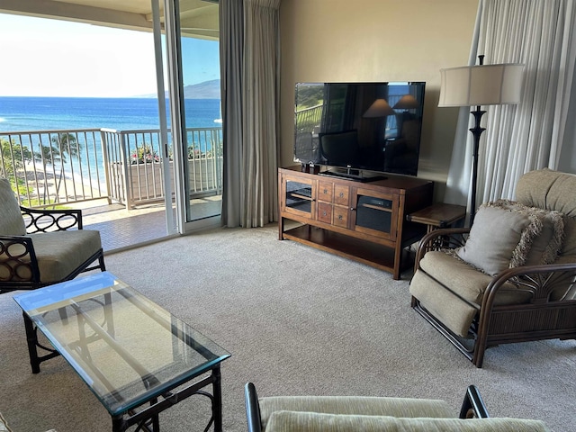 living area featuring carpet floors