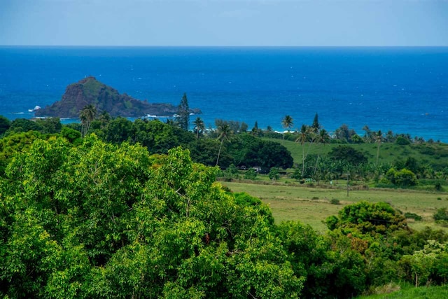 153 Kapia Rd, Hana HI, 96713 land for sale