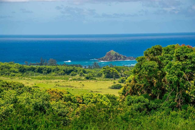 Listing photo 3 for 153 Kapia Rd Lot D, Lot D, Hana HI 96713