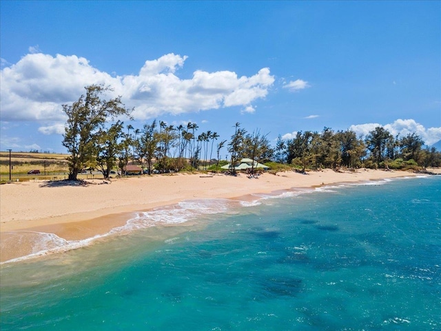 property view of water with a beach view