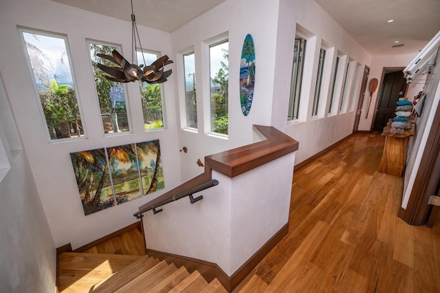 stairs featuring wood-type flooring and an inviting chandelier