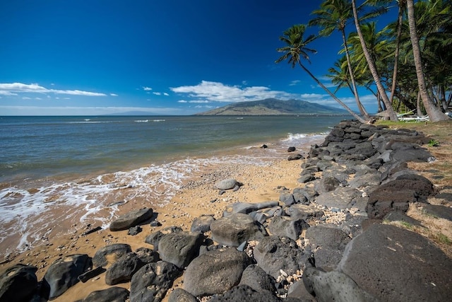 property view of water with a beach view