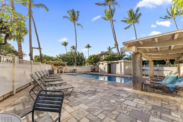 view of pool featuring a patio