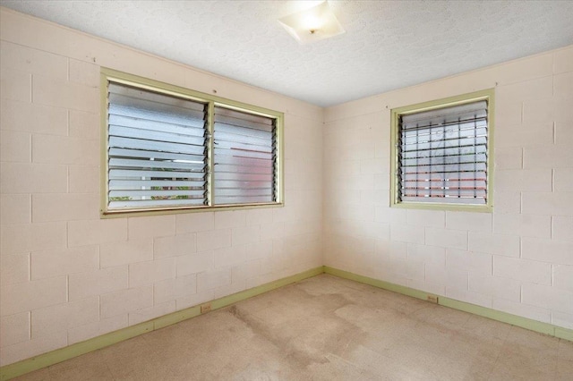 empty room featuring light carpet and a textured ceiling