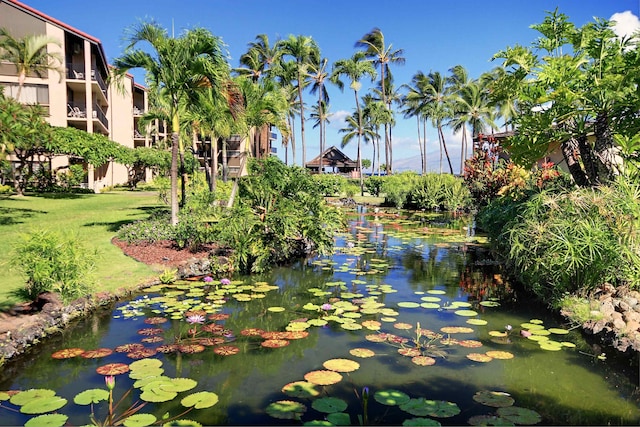 view of community featuring a small pond and a yard