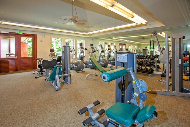 exercise room featuring ceiling fan, carpet floors, a tray ceiling, and a healthy amount of sunlight