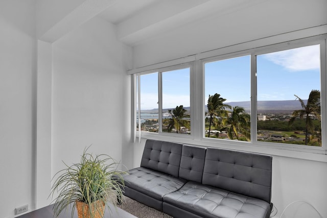 471 Liholiho St Unit 23, Wailuku, HI 96793 - view of living area