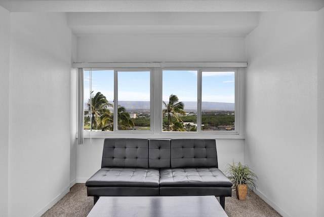 471 Liholiho St Unit 23, Wailuku, HI 96793 - living area featuring carpet floors and plenty of natural light