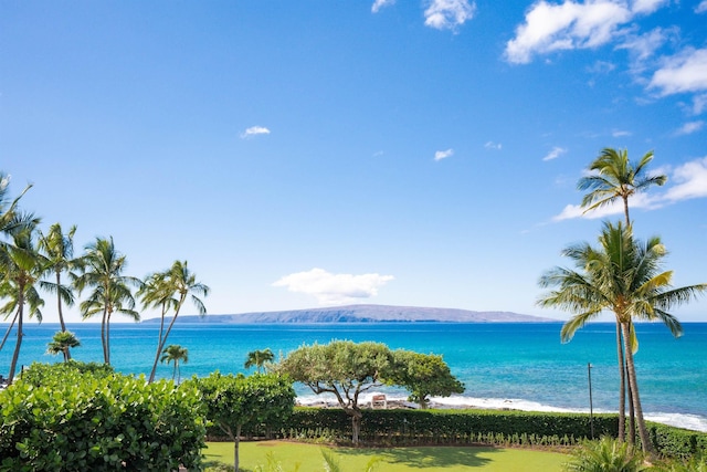 property view of water featuring a mountain view