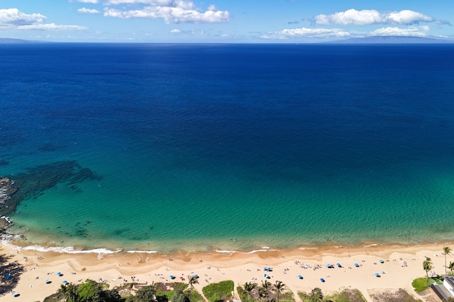 water view featuring a view of the beach