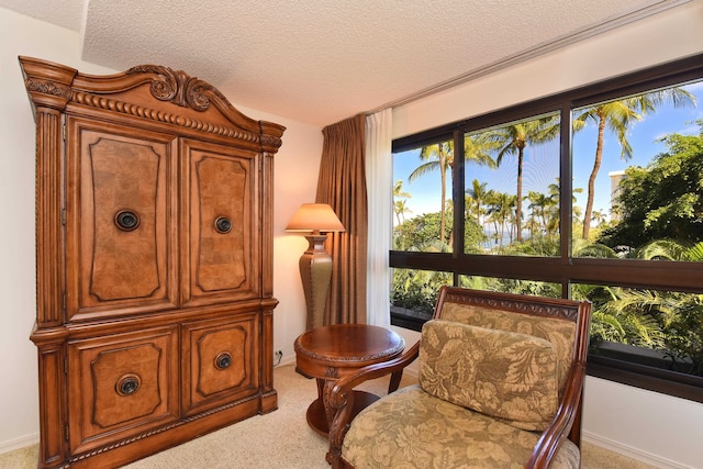 sitting room with light colored carpet and a textured ceiling