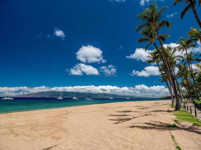 property view of water featuring a view of the beach