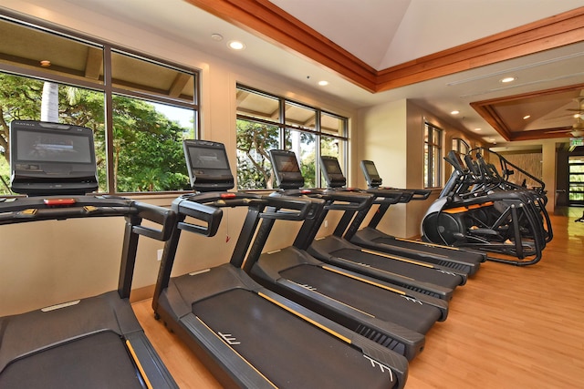 gym with hardwood / wood-style floors and a raised ceiling