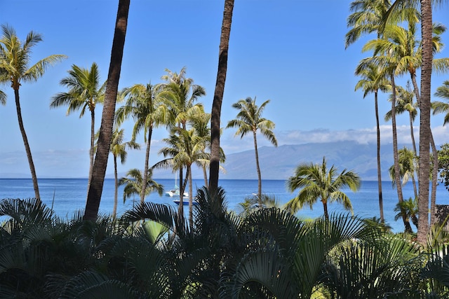 water view featuring a mountain view