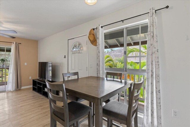 dining room with light hardwood / wood-style floors and ceiling fan