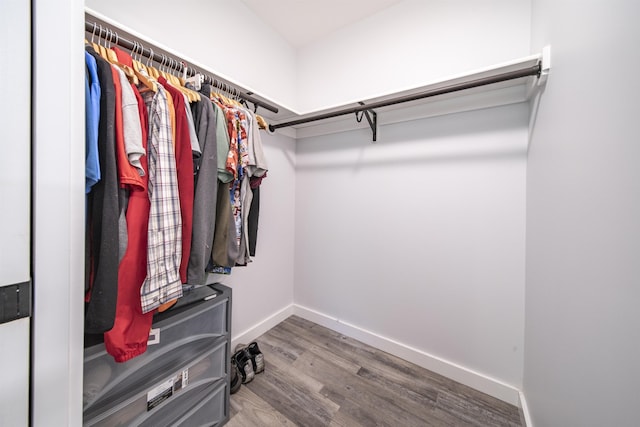 spacious closet with hardwood / wood-style floors