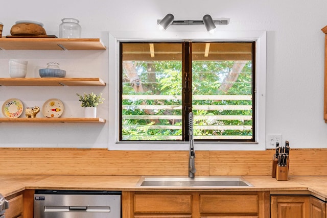 kitchen featuring dishwasher and sink