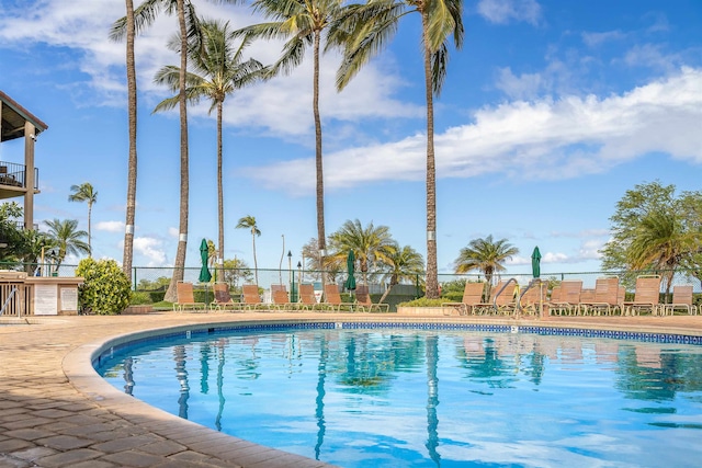 view of swimming pool