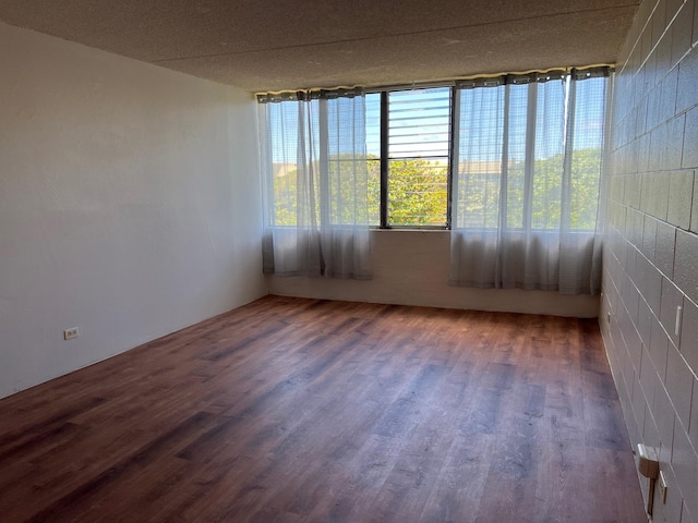 empty room with a textured ceiling, a wealth of natural light, and wood-type flooring