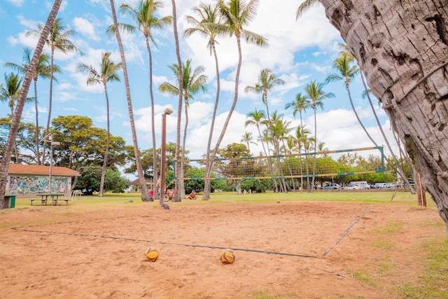 view of home's community with a yard and volleyball court