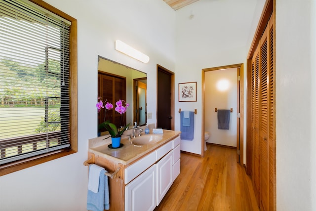 bathroom with vanity, toilet, and wood-type flooring