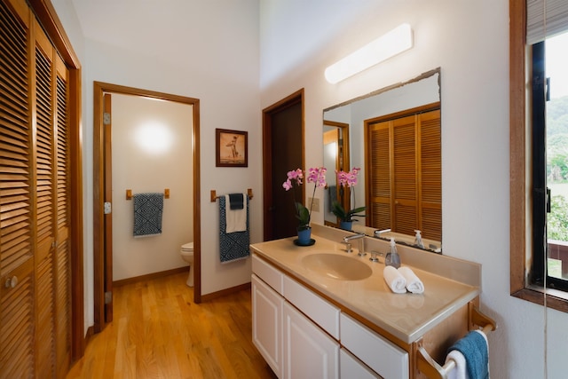 bathroom with vanity, toilet, and wood-type flooring