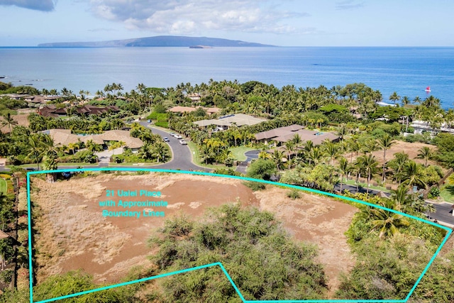 Listing photo 2 for 21 Ualei Pl Unit 1, Kihei HI 96753