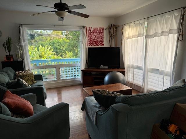 living room with hardwood / wood-style floors and ceiling fan