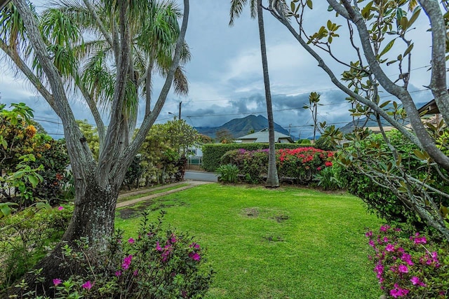 view of yard with a mountain view