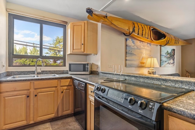 kitchen featuring sink and black appliances