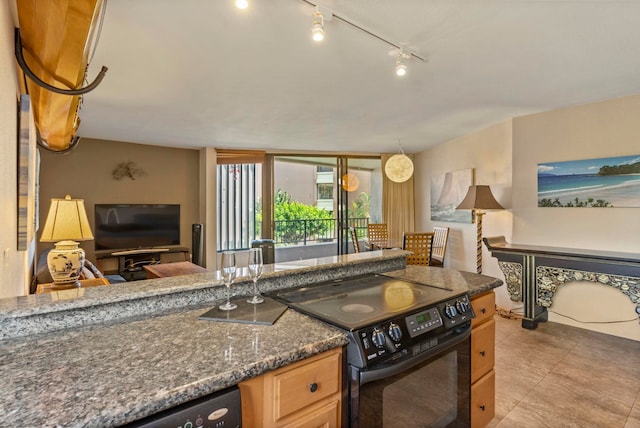 kitchen with black appliances and dark stone counters