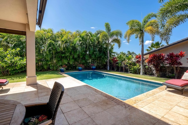 pool with a patio area, a fenced backyard, and a yard