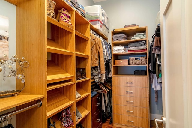 view of walk in closet